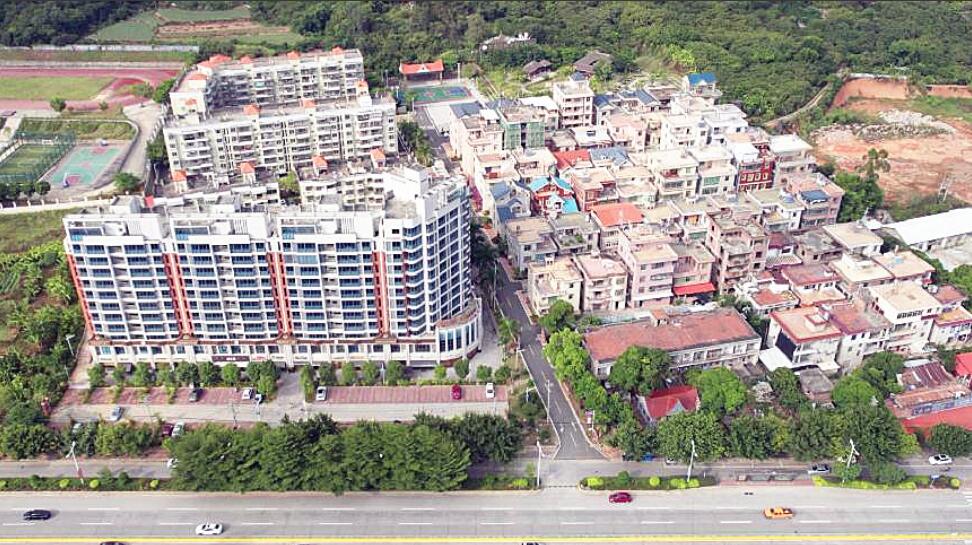 泉州洛江：深耕侨务“三篇文章” 以侨为桥织就共富新图景