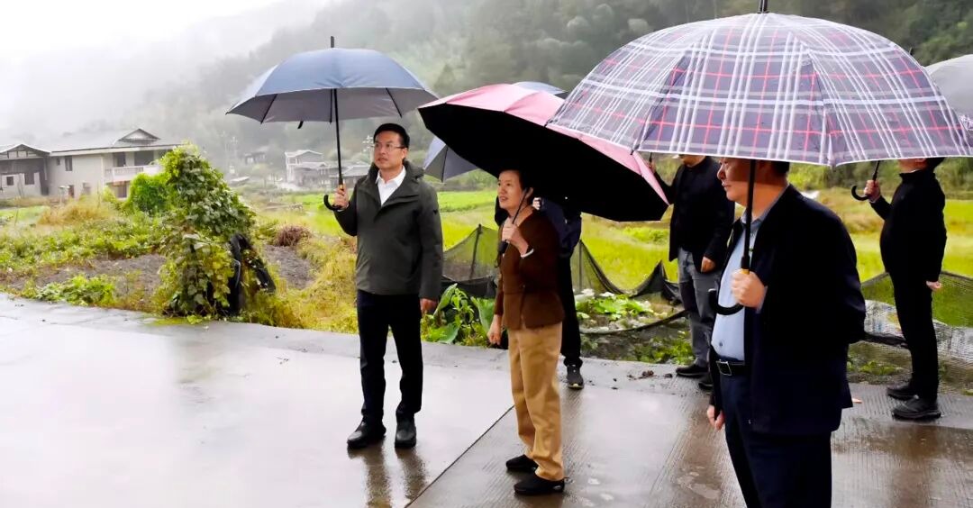 德化县县长吴志朴到桂阳乡宣讲党的二十届四中全会精神并调研