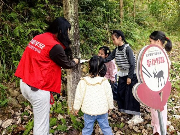 平安产险泉州中心支公司：小手刷白漆，小树添新衣