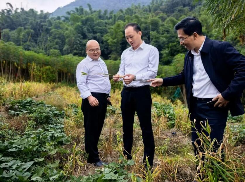 QQ截图20251105115413