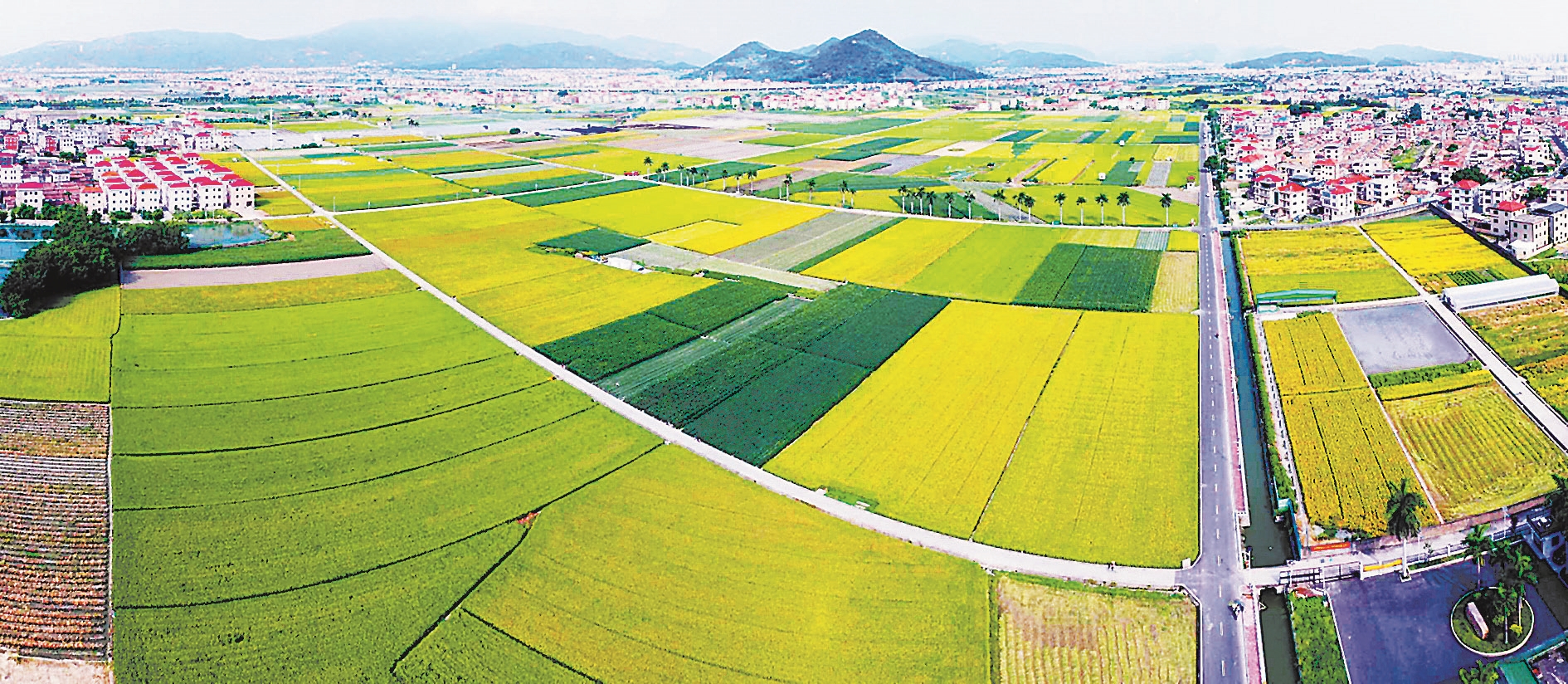 农业现代化的漳州探索