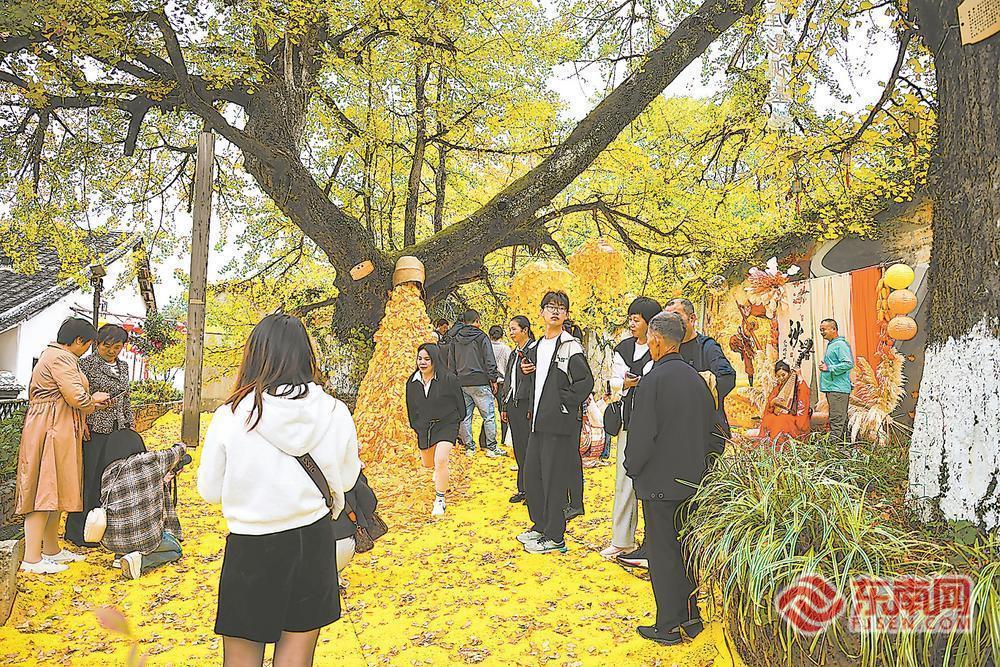 顺昌：晒秋打卡