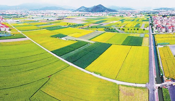 農業現代化的漳州探索