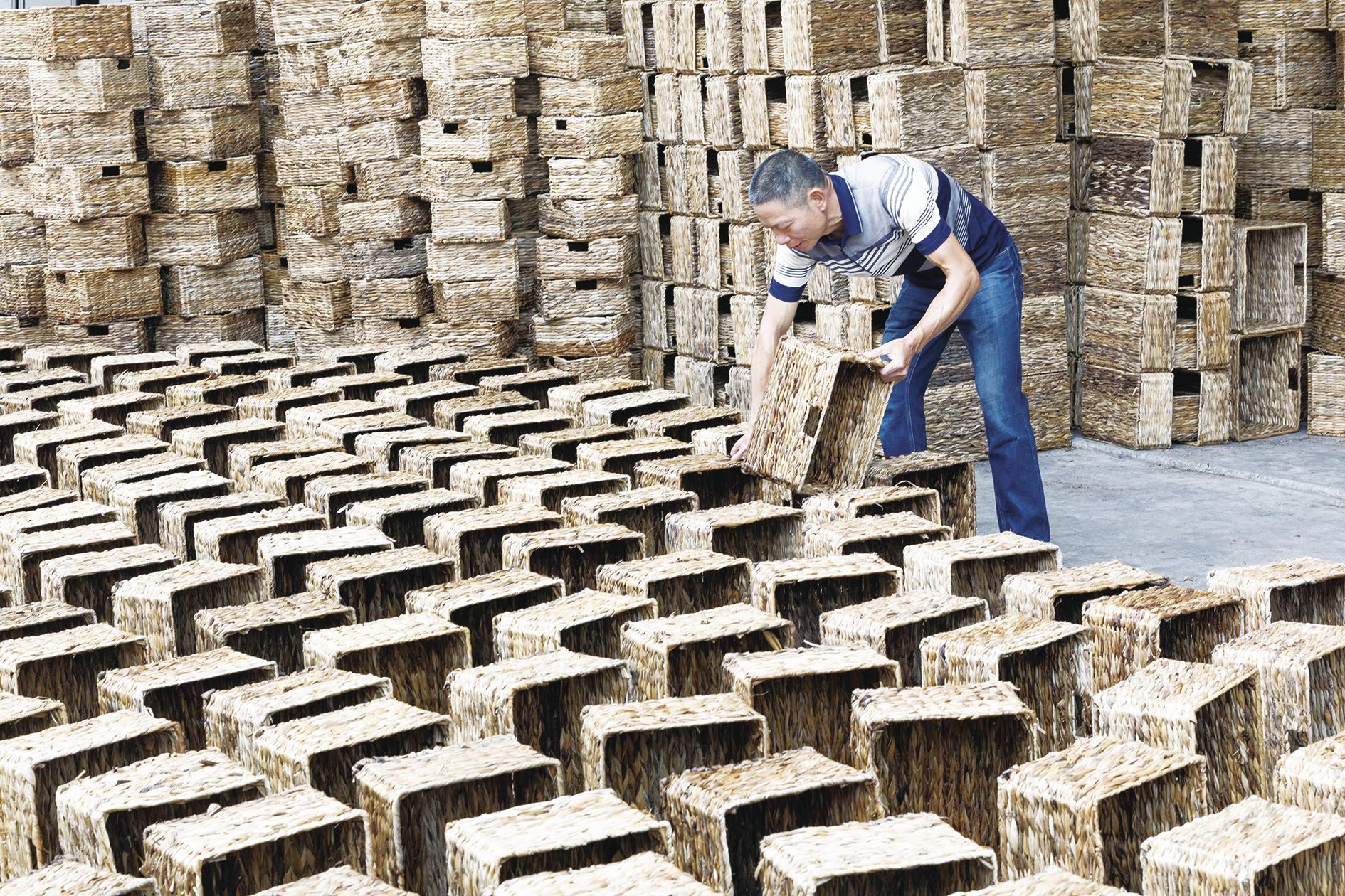 安溪藤铁： 从山村手作迈向国家级产业集群