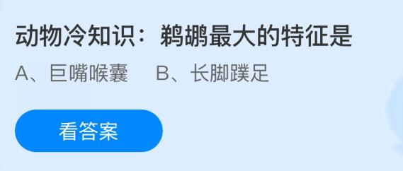 动物冷知识:鹈鹕最大的特征是什么?蚂蚁庄园课堂今天答案最新11月8日