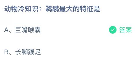 动物冷知识:鹈鹕最大的特征是什么?蚂蚁庄园课堂今天答案最新11月8日
