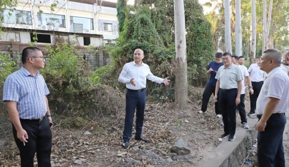 С⡱ϵίǵ̨·ֳ칫ƽ⡰ѡ