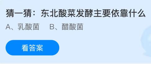 東北酸菜發(fā)酵主要依靠什么？螞蟻莊園課堂今天答案最新11月12日
