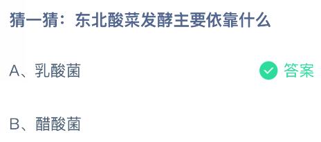 東北酸菜發(fā)酵主要依靠什么？螞蟻莊園課堂今天答案最新11月12日