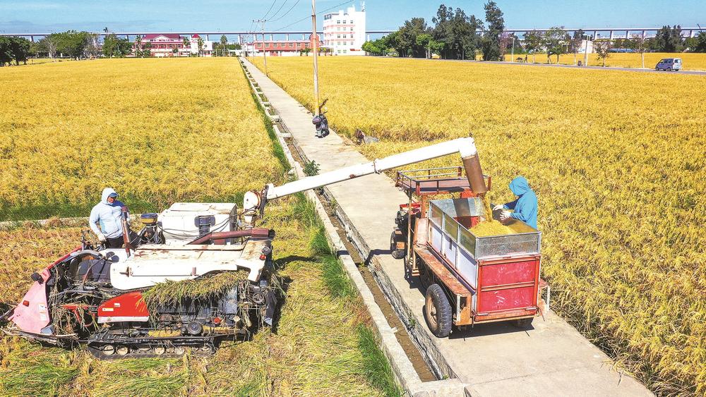 414d1447-6074-4348-bd5c-c8a58190898d.jpg (1)