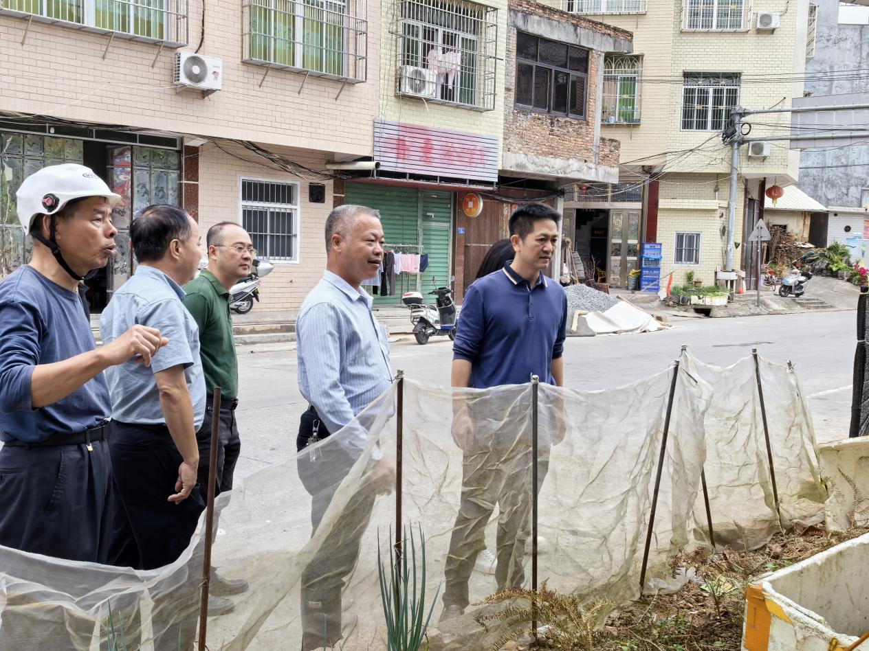 以绣花功夫攻坚克难 平和大溪镇全域开展人居环境“拉练检查”