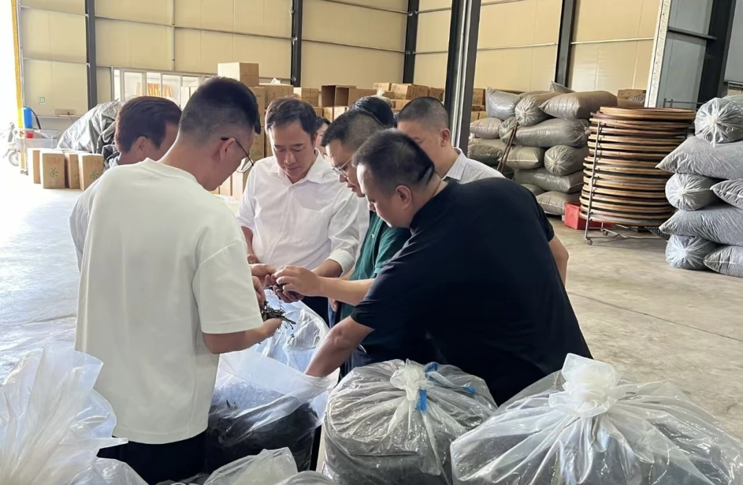 【奋勇争先这一年】诏安太平镇：产业升级为引擎 民生保障为根本