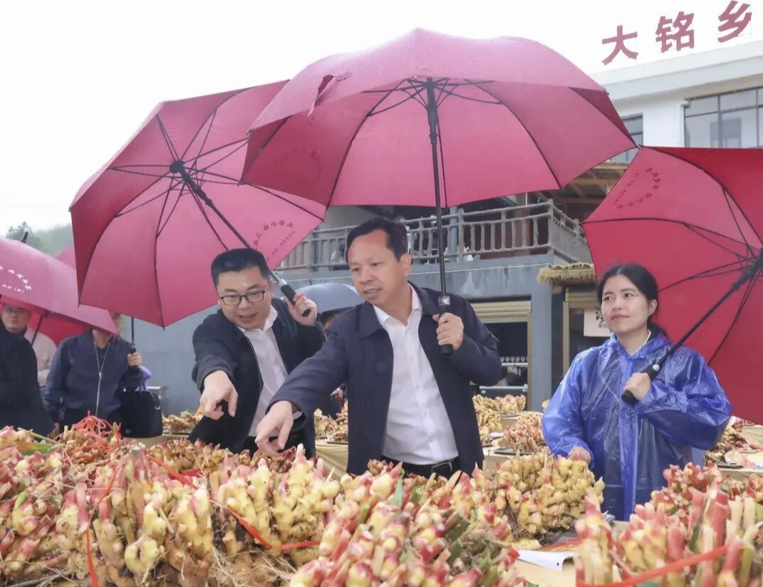 泉州市领导到德化宣讲并调研