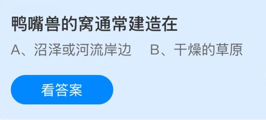 鸭嘴兽的窝通常建造在哪里？蚂蚁庄园课堂今天答案最新11月15日