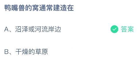 鸭嘴兽的窝通常建造在哪里？蚂蚁庄园课堂今天答案最新11月15日