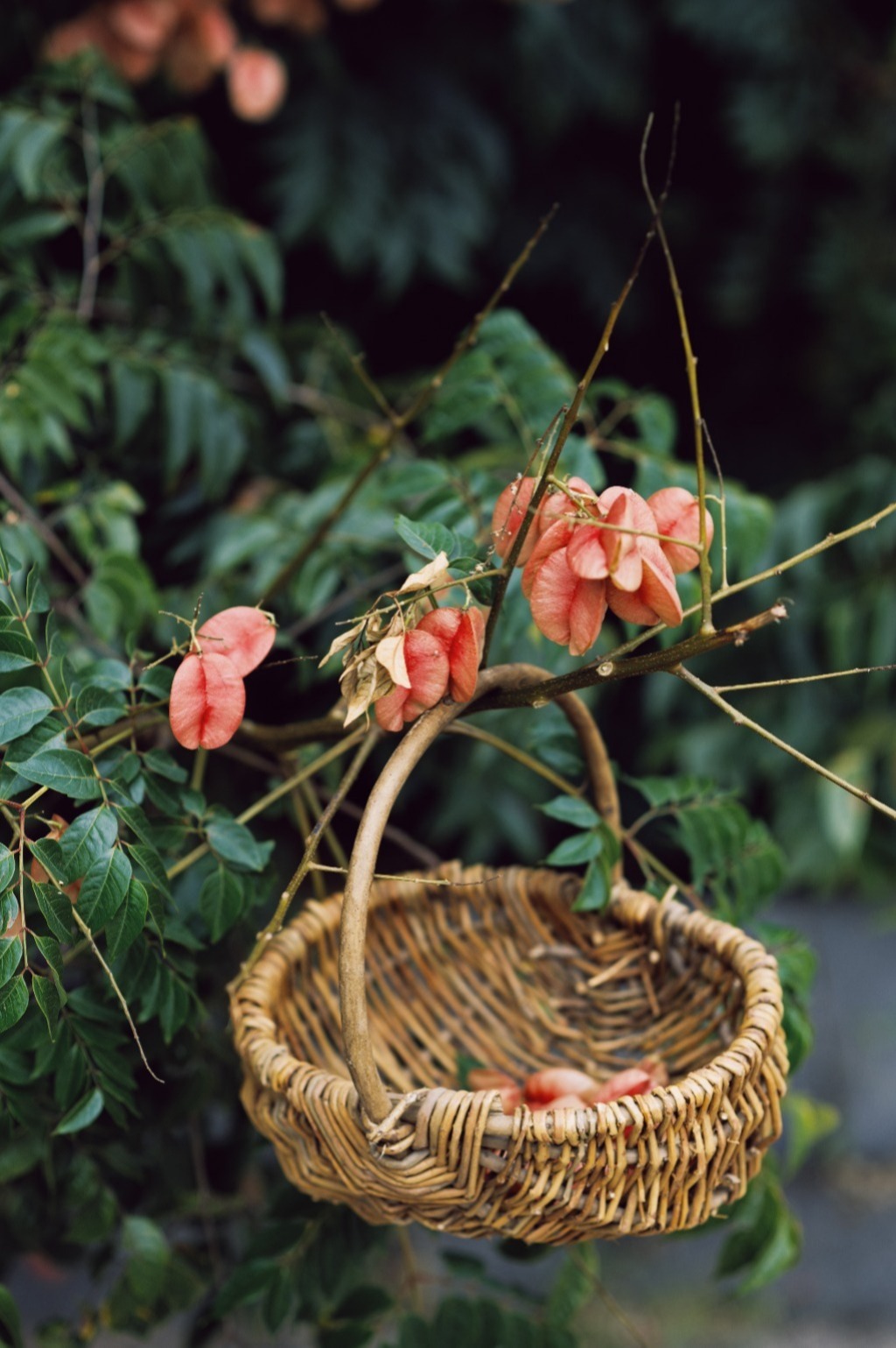 秋日浪漫文案 作家关于描写秋天唯美句子简短