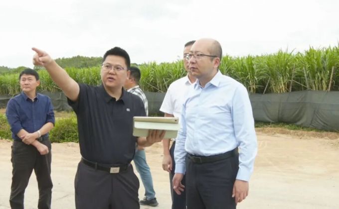 诏安县县长带队调研督导耕地保护与粮食安全工作