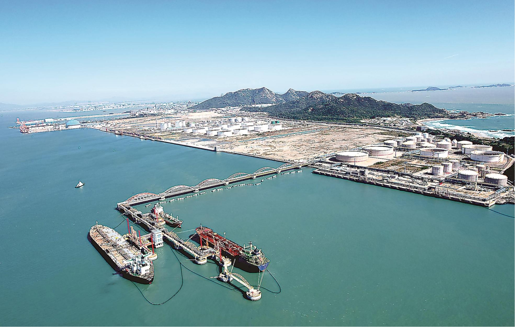 古雷港区码头：多船同泊常态化