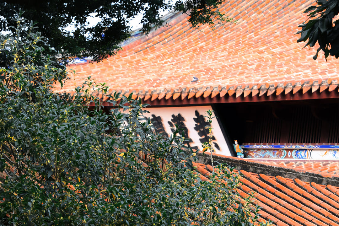 破案了！西街飄散的香味，源頭竟然在開(kāi)元寺