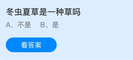 冬虫夏草是一种草吗？蚂蚁庄园课堂今天答案最新11月18日