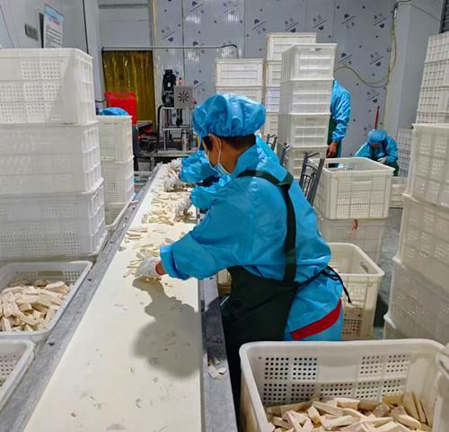 三明三元洋溪镇：沪明合作激活企业 农业产业“加速跑”