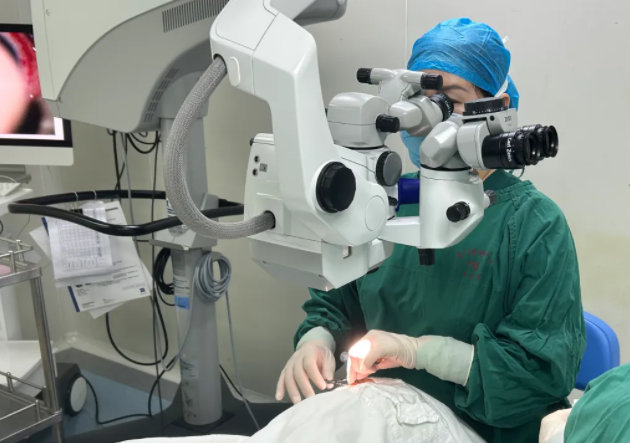 1b692d00-b8d5-4560-ae16-48a2d49def24