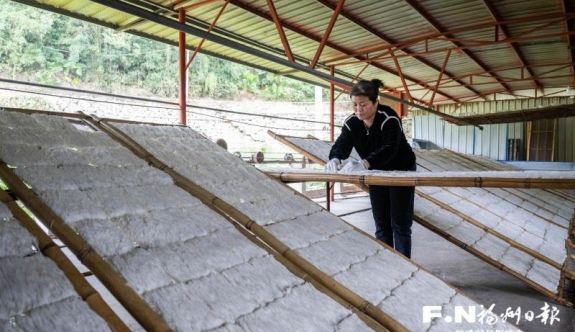 從“一根粉”到五億產值——閩清粉干的破圈之路