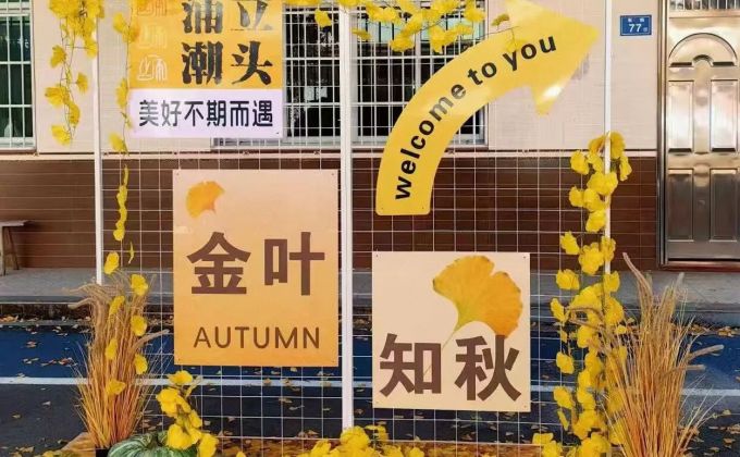 上涌镇：银杏灿若金 秋意引客来