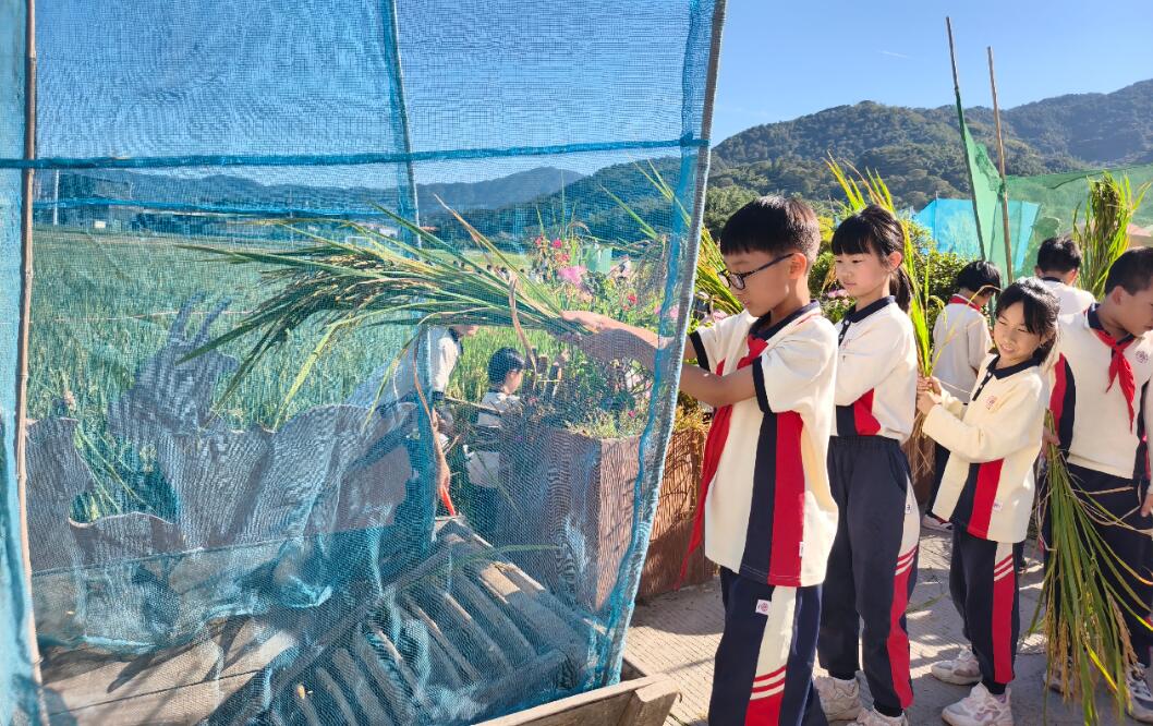 QQ截图20251119194816