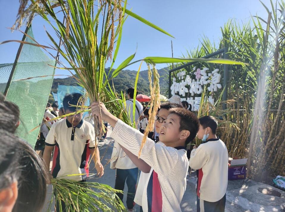 QQ截图20251119194828