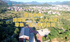 一個產(chǎn)業(yè) 共富一方 | 洛江永安：蝴蝶蘭“飛”入小山村，帶來“花”樣新生活(視頻)