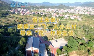洛江永安：蝴蝶蘭“飛”入小山村 帶來(lái)“花”樣新生活