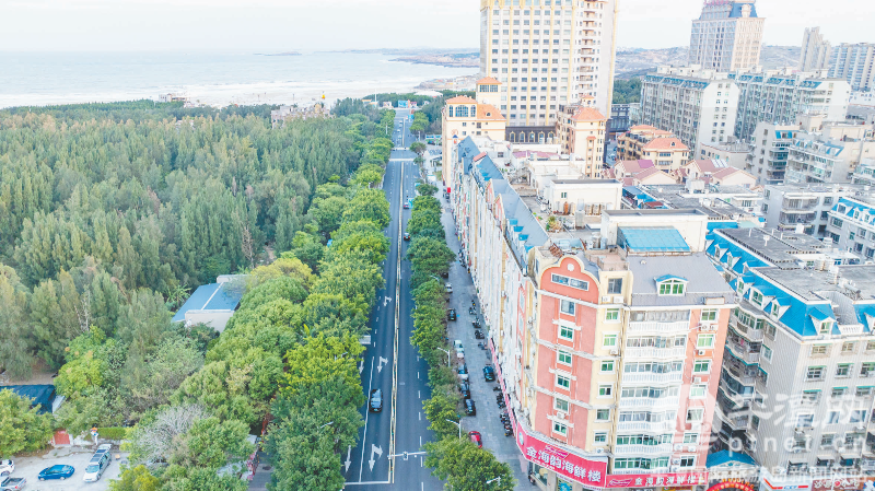 龙凤路提升改造工程通过竣工验收