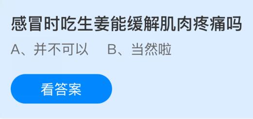 感冒时吃生姜能缓解肌肉疼痛吗？蚂蚁庄园今日答案最新11.21