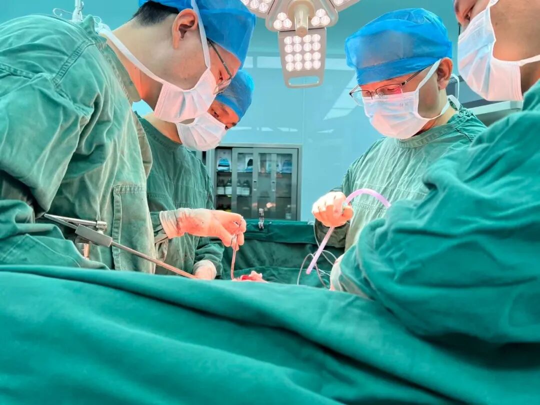 挑战高难度！漳州第三医院多学科团队巧手拆除大肿瘤
