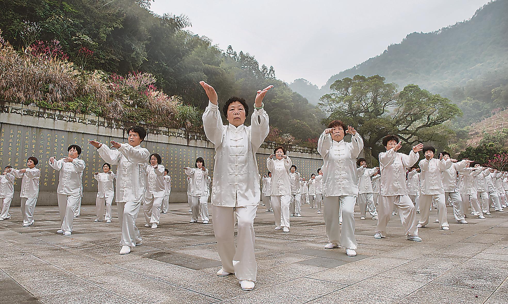 潮声 | 永春白鹤拳：展翅翱翔五洲四海