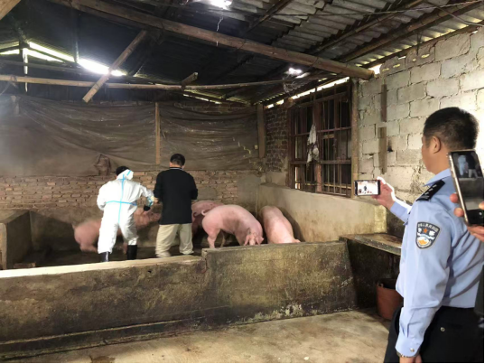 突击检查！漳州查获一个窝点，抓获8人