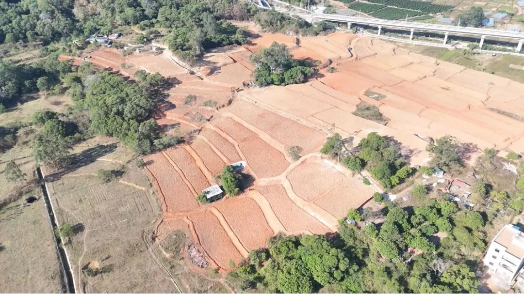 投资超345万，新增耕地110亩！泉港这个项目让“闲地”生“金”