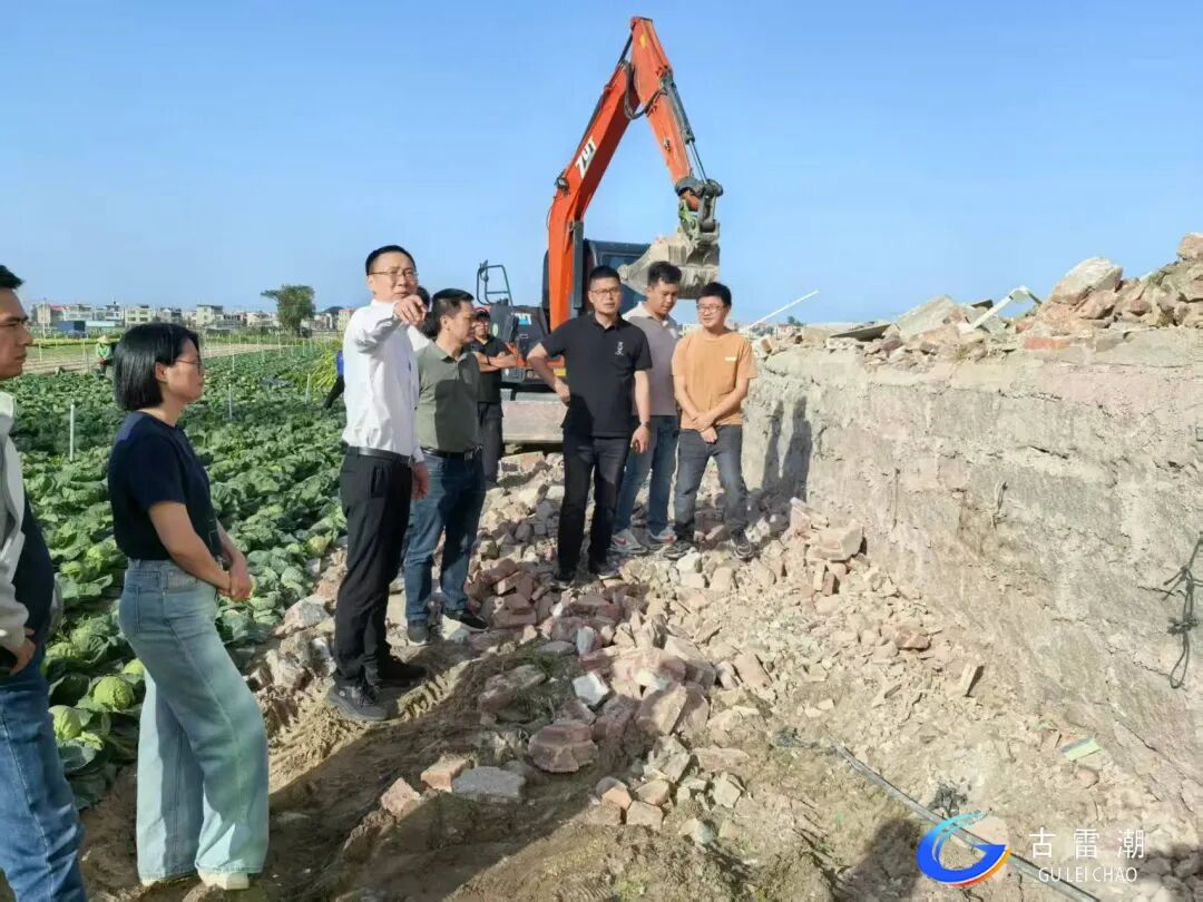 三维联动、清单销号！古雷开发区出重拳守护耕地红线