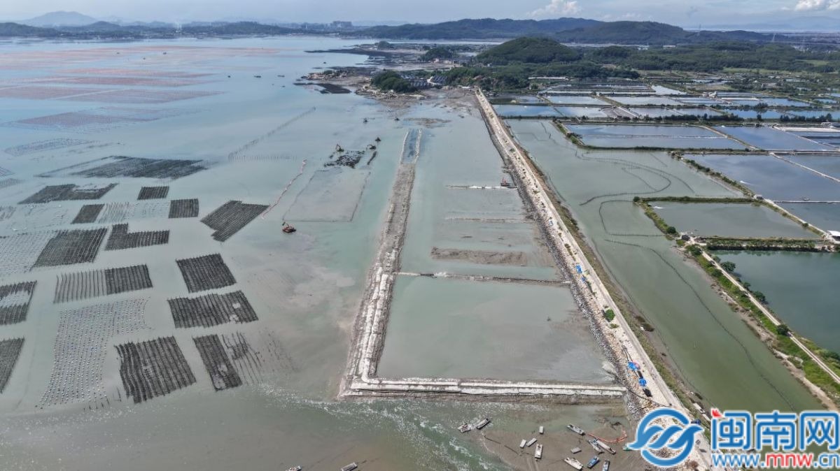 云霄红树林造滩焕新颜！漳州海洋生态修复百日攻坚提速