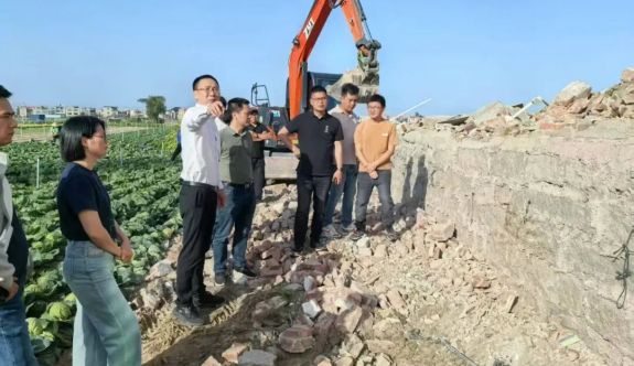 三維聯動、清單銷號！古雷開發區出重拳守護耕地紅線