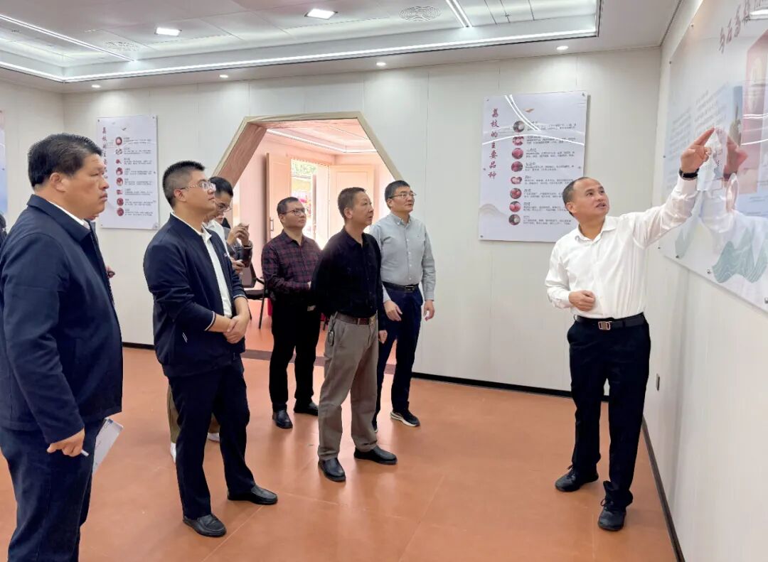 漳浦县委书记一线宣讲党的二十届四中全会精神并调研基层党建工作