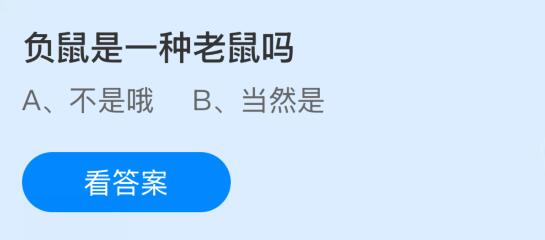 負鼠是一種老鼠嗎?螞蟻莊園課堂今天答案最新11月26日