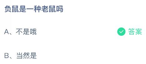 負鼠是一種老鼠嗎?螞蟻莊園課堂今天答案最新11月26日