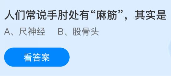 人们常说手肘处有“麻筋”其实是什么？蚂蚁庄园今日答案最新11.26