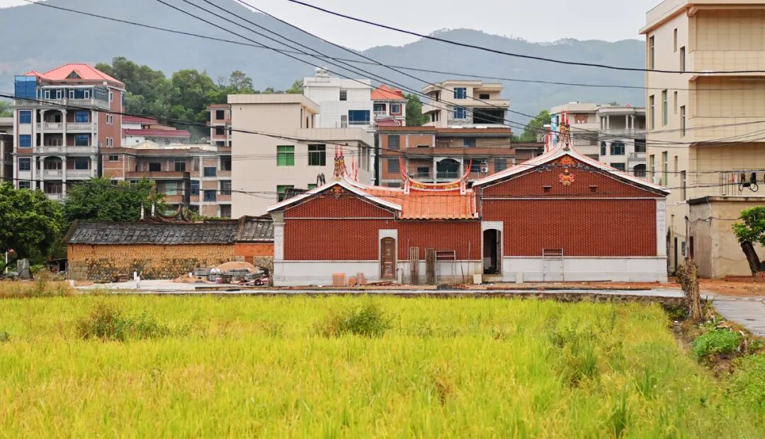 古厝“新生”、新路“串景” 英都大新村激活乡村活力