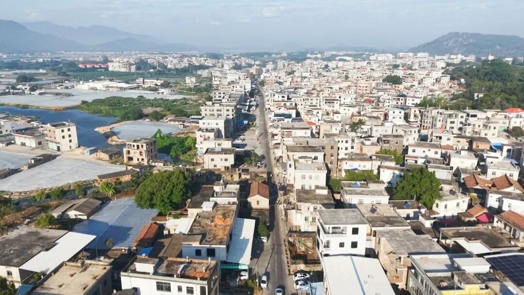 11月25日(7)_副本.jpg 11月25日(7)_副本.jpg