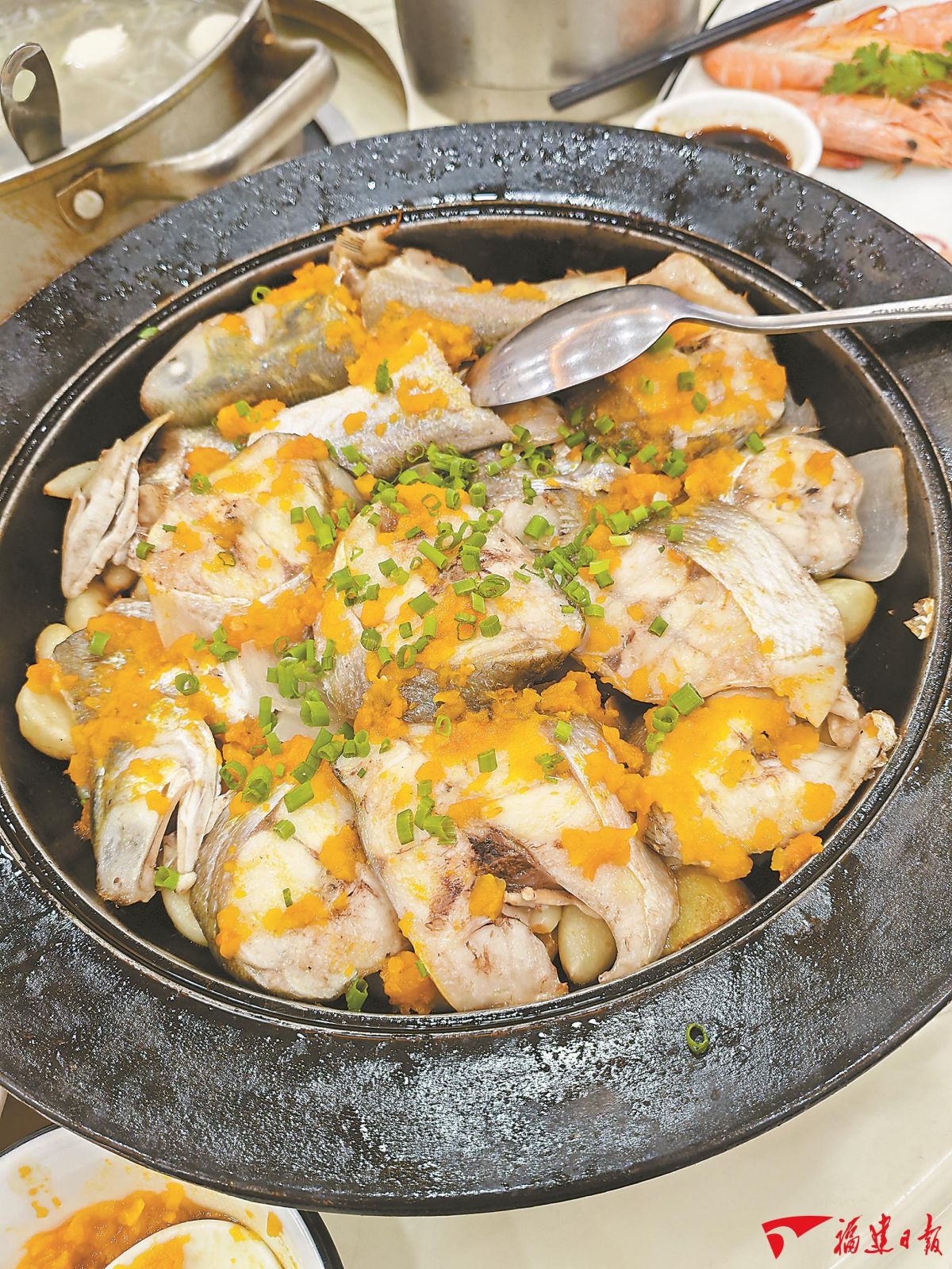 福建有“种”走天下 | “最好吃”的海鱼不再“娇贵”