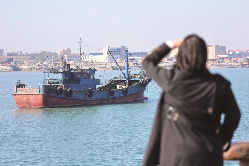 渔船变“鹭园” 渔港添生机