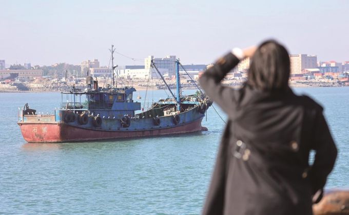 渔船变“鹭园” 渔港添生机